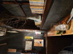 雰囲気のあるお店。