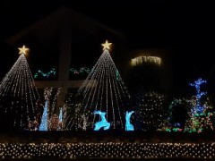 【お題日記】クリスマスの夜はどうだった？