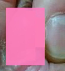 本日のUP画は栗だよ～