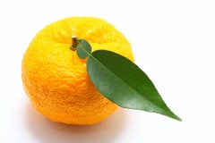 【お題日記】最近のお気に入りグッズ