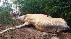 【お題日記】値上がりされると困るもの