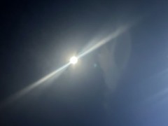 【お題日記】もし人生をやり直せるなら何歳から？