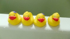 楽しい夏休み♪