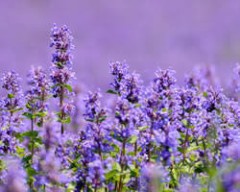 【お題日記】言葉にしない方が伝わると感じること