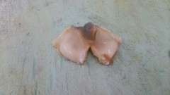 褒めるとこなんて？