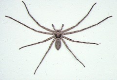 死ぬほど焦ったwww