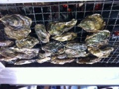 下記、花器、夏季、柿、牡蠣ﾀﾞｧ━━(｡･д･)ﾉﾞ━━ｯ