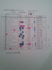 中山競馬場に来ちゃいましたわぁ!