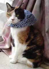 怖いな～地震。家族がいたらもっと大変だったな。