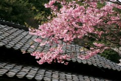 自然現象だから・・