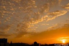 はじめまして、始めました。