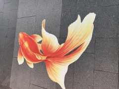 路上に金魚