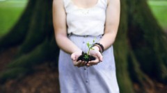 うれしい出来事