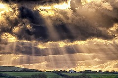 自分のしたい事