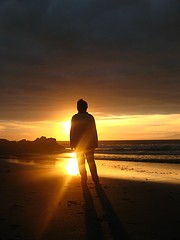 いったいどうなの？