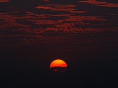 笑わせてくれます