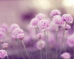 始まっちゃった。。