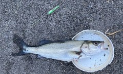 百石のとあるサーフの19時