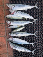 23/11/02/13:00から15:00