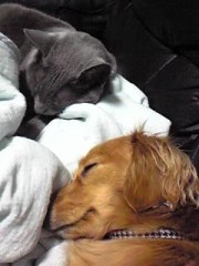 ありがとう(*^o^*)