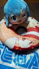 久しぶりのUFOキャッチャー