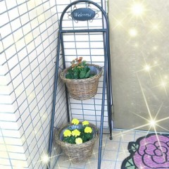 これからが楽しみ(。・艸・)ｳﾌﾌ ✿