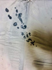 【お題日記】自分のカラダで気に入っているところ