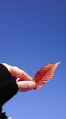 今日はカメラの日！自慢の写真をU Pして♪