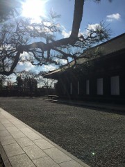 【お題日記】あなたは積極的？消極的？