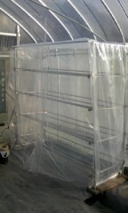 育苗棚完成
