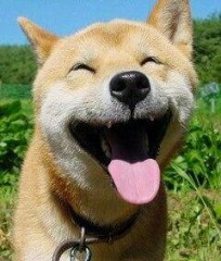 今日登録しましたぁ～〓