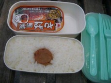 お昼ご飯ですが・・・