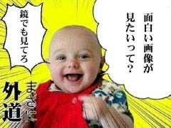 面白い画像が見たいって？