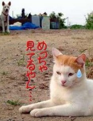 (¬_¬)ジィーーーーー