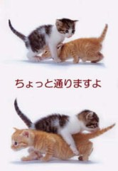 ちょっと失礼します！