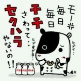 毎日毎日お乳触って