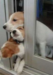 むぅぅうう！(=_=;)