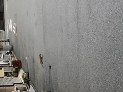 【お題日記】お気に入りの写真見せて