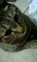 機械音痴?常識?