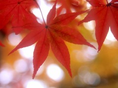 ご好評につき第2弾。ｗｗｗ