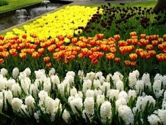 二度と、混ぜないことを、誓う