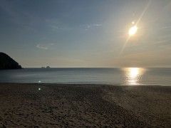 夏