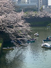 【お題日記】ついやっちゃうクセある？
