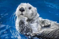 【お題日記】旅先でのアバンチュール