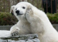 【お題日記】浮気する人の特徴