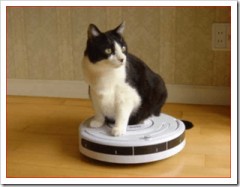 【お題日記】プチプラ