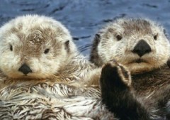 【お題日記】今日は海の日！