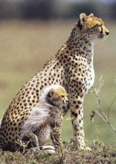 【お題日記】体の相性と性格の相性は比例する？