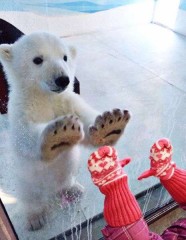 【お題日記】不景気？好景気？