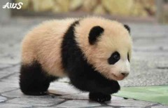 【お題日記】「暑い」を他の言葉で言うと・・